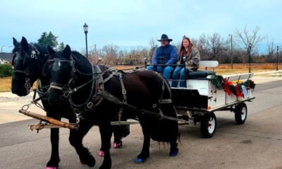 Free Horse Drawn Carriage Rides Charm Grand Junction Holidays