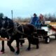 Free Horse Drawn Carriage Rides Charm Grand Junction Holidays