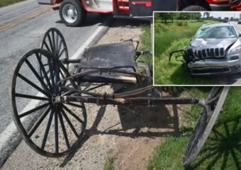 Two Killed in Amish Buggy Crash on US 20