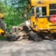 school bus crash scene