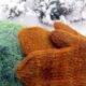 Knits Warmth for Winter Needs