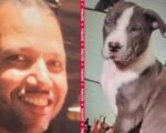 Man Arrested for Killing Dog in Road Rage Clash