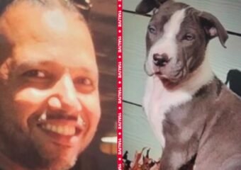 Man Arrested for Killing Dog in Road Rage Clash