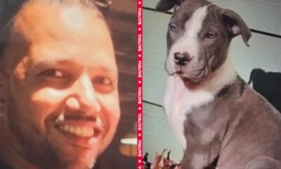 Man Arrested for Killing Dog in Road Rage Clash