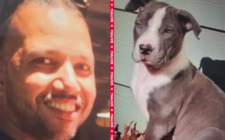 Man Arrested for Killing Dog in Road Rage Clash