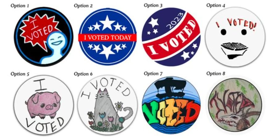 Mesa County Names I Voted Sticker Winners