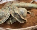 Rare Celtic War Trumpet Unearthed in England