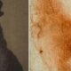 Scientists Find Leonardo da Vinci DNA in Old Sketch