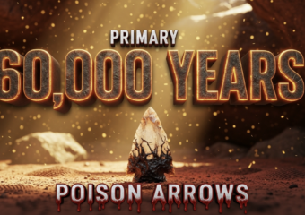 A viral, hyper-realistic YouTube thumbnail with a dramatic archaeological atmosphere. The background is a dimly lit ancient rock shelter with golden dust particles floating in shafts of light breaking through cracks. The composition uses a low-angle macro shot to focus on the main subject: a sharply detailed prehistoric quartz arrowhead covered in dark dried poison residue, placed on reddish African soil with faint finger prints visible. The image features massive 3D typography with strict hierarchy: The Primary Text reads exactly: '60,000 YEARS'. This text is massive, rendered in weathered bronze metal with glowing ember edges like ancient fire. The Secondary Text reads exactly: 'POISON ARROWS'. This text is smaller, positioned below with thick blood-red outline and dripping effect. 8k, Unreal Engine 5, cinematic rende