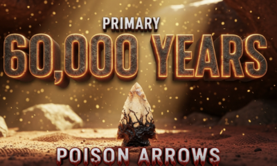 A viral, hyper-realistic YouTube thumbnail with a dramatic archaeological atmosphere. The background is a dimly lit ancient rock shelter with golden dust particles floating in shafts of light breaking through cracks. The composition uses a low-angle macro shot to focus on the main subject: a sharply detailed prehistoric quartz arrowhead covered in dark dried poison residue, placed on reddish African soil with faint finger prints visible. The image features massive 3D typography with strict hierarchy: The Primary Text reads exactly: '60,000 YEARS'. This text is massive, rendered in weathered bronze metal with glowing ember edges like ancient fire. The Secondary Text reads exactly: 'POISON ARROWS'. This text is smaller, positioned below with thick blood-red outline and dripping effect. 8k, Unreal Engine 5, cinematic rende