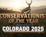 A viral, hyper-realistic YouTube thumbnail with a rugged Rocky Mountain sunrise atmosphere. The background is a sweeping Colorado high-country meadow at golden hour with distant elk on the skyline and wildflowers in the foreground. The composition uses a dramatic low-angle shot to focus on the main subject: a stunning bronze sculpture of a leaping mule deer on a river rock base. The image features massive 3D typography with strict hierarchy: The Primary Text reads exactly: 'CONSERVATIONIST OF THE YEAR'. This text is massive, rendered in polished bronze with realistic light reflections to match the trophy. The Secondary Text reads exactly: 'COLORADO 2025'. This text is smaller, positioned below with a thick white outline and subtle orange glow border. 8k, Unreal Engine 5, cinematic render.