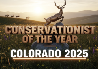 A viral, hyper-realistic YouTube thumbnail with a rugged Rocky Mountain sunrise atmosphere. The background is a sweeping Colorado high-country meadow at golden hour with distant elk on the skyline and wildflowers in the foreground. The composition uses a dramatic low-angle shot to focus on the main subject: a stunning bronze sculpture of a leaping mule deer on a river rock base. The image features massive 3D typography with strict hierarchy: The Primary Text reads exactly: 'CONSERVATIONIST OF THE YEAR'. This text is massive, rendered in polished bronze with realistic light reflections to match the trophy. The Secondary Text reads exactly: 'COLORADO 2025'. This text is smaller, positioned below with a thick white outline and subtle orange glow border. 8k, Unreal Engine 5, cinematic render.