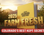 A viral, hyper-realistic YouTube thumbnail with a warm, golden Western Slope summer atmosphere. The background is a sweeping Colorado orchard at magic hour with Palisade peach trees heavy with fruit and the Book Cliffs glowing in the distance under dramatic sunset light. The composition uses a low-angle heroic shot to focus on the main subject: a thick, bright yellow 2025 Colorado Farm Fresh Directory standing upright in rich soil, slightly open with pages fluttering. The Primary Text reads exactly: '2025 FARM FRESH'. This text is massive, rendered in glossy embossed gold metallic letters with real light reflections like a premium 3D render. The Secondary Text reads exactly: 'COLORADO'S BEST KEPT SECRET'. This text is smaller, positioned below in bold white with a vibrant red sticker-style outline and slight drop shadow to pop against the golden sky. 8k, Unreal Engine 5, cinematic render.