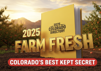 A viral, hyper-realistic YouTube thumbnail with a warm, golden Western Slope summer atmosphere. The background is a sweeping Colorado orchard at magic hour with Palisade peach trees heavy with fruit and the Book Cliffs glowing in the distance under dramatic sunset light. The composition uses a low-angle heroic shot to focus on the main subject: a thick, bright yellow 2025 Colorado Farm Fresh Directory standing upright in rich soil, slightly open with pages fluttering. The Primary Text reads exactly: '2025 FARM FRESH'. This text is massive, rendered in glossy embossed gold metallic letters with real light reflections like a premium 3D render. The Secondary Text reads exactly: 'COLORADO'S BEST KEPT SECRET'. This text is smaller, positioned below in bold white with a vibrant red sticker-style outline and slight drop shadow to pop against the golden sky. 8k, Unreal Engine 5, cinematic render.