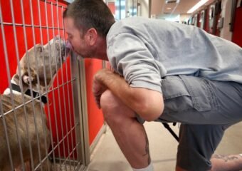 Shelter Lands $10K Grant for Pet Aid