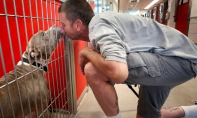Shelter Lands $10K Grant for Pet Aid