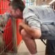 Shelter Lands $10K Grant for Pet Aid