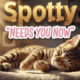 A viral, hyper-realistic YouTube thumbnail with a warm, golden-hour cozy shelter atmosphere. The background is a softly lit cat condo with sunbeams streaming through windows and floating dust particles. The composition uses a gentle low-angle close-up to focus on the main subject: an adorable spotted tabby cat peacefully curled on a plush blanket with one paw reaching toward the viewer. The image features massive 3D typography with strict hierarchy: The Primary Text reads exactly: 'Spotty'. This text is massive, the largest element in the frame, rendered in warm brushed gold with subtle glowing edges to look like a high-budget 3D render. The Secondary Text reads exactly: 'Needs You Now'. This text is significantly smaller, positioned below the main text. It features a thick white outline with soft pink fill in handwritten sticker style to contrast against the background. The text materials correspond to the story's concept. Crucial Instruction: There is absolutely NO other text, numbers, watermarks, or subtitles in this image other than these two specific lines. 8k, Unreal Engine 5, cinematic render