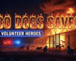 A viral, hyper-realistic YouTube thumbnail with a dramatic fiery orange and deep midnight blue atmosphere. The background is a raging kennel fire at night on the Colorado plains with massive flames shooting into the sky and thick black smoke, emergency lights flashing red and blue across snow-dusted ground. The composition uses a dramatic low angle to focus on the main subject: a scorched metal kennel gate twisted open with rescued hunting dogs running toward safety in the foreground. The image features massive 3D typography with strict hierarchy: The Primary Text reads exactly: '30 DOGS SAVED'. This text is massive, the largest element in the frame, rendered in burning molten metal with glowing embers and real fire particles. The Secondary Text reads exactly: 'VOLUNTEER HEROES'. This text is significantly smaller, positioned below the main text with a thick white outline and electric blue glow border to cut through the smoke. 8k, Unreal Engine 5, cinematic render