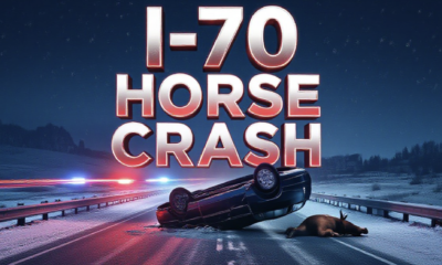 A viral, hyper-realistic YouTube thumbnail with a dramatic midnight highway atmosphere. The background is a dark snow-dusted Interstate 70 near Fruita with emergency lights flashing red and blue across the pavement. The composition uses a low dramatic camera angle to focus on the main subject: an upside-down wrecked sedan in the median with a dead horse nearby. The image features massive 3D typography with strict hierarchy: The Primary Text reads exactly: 'I-70 HORSE CRASH'. This text is massive, the largest element in the frame, rendered in glowing red chrome to look like a high-budget 3D render. The Secondary Text reads exactly: 'Driver Critical'. This text is significantly smaller, positioned below the main text. It features a thick white border with red glow outline to contrast against the dark background. Make sure text 2 is always different theme, style, effect and border compared to text 1. The text materials correspond to the story's concept. Crucial Instruction: There is absolutely NO other text, numbers, watermarks, or subtitles in this image other than these two specific lines. 8k, Unreal Engine 5, cinematic render.