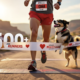 A viral, hyper-realistic YouTube thumbnail with a warm, romantic outdoor sports atmosphere.eabaground is the sun-lit Fruita Community Center finish line area with Colorado River bluffs in the distance and soft golden morning light. The composition uses a wide, slightly low angle to focus on the main subject: a pair of muddy running shoes mid-stride with a red heart-shaped race bib pinned to red shorts, a happy rescue dog leaping up for a kiss right at the finish line tape. The image features massive 3D typography with strict hierarchy: The Primary Text reads exactly: '500+ RUNNERS'. This text is massive, the largest element in the frame, rendered in polished chrome with red glowing edges to look like a high-budget 3D render. The Secondary Text reads exactly: 'SWEETHEART RUN RECORD'. This text is significantly smaller, positioned below the main text. It features a thick white sticker-style border with slight drop shadow to contrast against the background. Make sure text 2 is always different theme, style, effect and border compared to text 1. The text materials correspond to the story's concept. Crucial Instruction: There is absolutely NO other text, numbers, watermarks, or subtitles in this image other than these two specific lines. 8k, Unreal Engine 5, cinematic render.