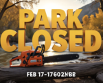 A viral, hyper-realistic YouTube thumbnail with a Nature Restoration atmosphere. The background is a rugged Colorado riverfront trail with golden hour lighting filtering through cottonwood trees. The composition uses a Low Angle to focus on the main subject: a bright orange industrial Chainsaw resting on a log. The image features massive 3D typography with strict hierarchy: The Primary Text reads exactly: 'PARK CLOSED'. This text is massive, the largest element in the frame, rendered in Caution Tape Yellow to look like a high-budget 3D render. The Secondary Text reads exactly: 'FEB 17-19'. This text is significantly smaller, positioned below or next to the main text. It features a thick, distinct color border/outline (sticker style) to contrast against the background. Make sure text 2 is always different theme, style, effect and border compared to text 1.