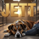 A viral, hyper-realistic YouTube thumbnail with a warm, heartfelt shelter atmosphere. The background is a softly lit kennel room at golden hour with gentle sunbeams cutting through the gates. The composition uses a low, intimate camera angle to focus on the main subject: a beautiful medium-sized brindle dog with velvet ears peacefully resting his head on a volunteer's knee. The image features massive 3D typography with strict hierarchy: The Primary Text reads exactly: 'JETT'. This text is massive, the largest element in the frame, rendered in warm brushed gold to look like a high-budget 3D render. The Secondary Text reads exactly: 'Waiting For You'. This text is significantly smaller, positioned below the main text. It features a thick white border with soft glow effect to contrast against the warm background. Make sure text 2 is always different theme, style, effect and border compared to text 1. The text materials correspond to the story's concept. Crucial Instruction: There is absolutely NO other text, numbers, watermarks, or subtitles in this image other than these two specific lines. 8k, Unreal Engine 5, cinematic render