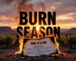 A viral, hyper-realistic YouTube thumbnail with a dramatic Western Colorado sunset atmosphere. The background is a vast Grand Valley landscape with orchards and red rock mesas glowing under golden hour light with subtle smoke trails rising in the distance. The composition uses a low dramatic angle to focus on the main subject: a large, weathered burn permit document dramatically burning at the edges while remaining perfectly legible. The image features massive 3D typography with strict hierarchy: The Primary Text reads exactly: 'BURN SEASON STARTS'. This text is massive, the largest element in the frame, rendered in molten orange chrome with glowing ember edges to look like a high-budget 3D render. The Secondary Text reads exactly: 'MARCH 1'. This text is significantly smaller, positioned below the main text with a thick white outline and red glow border to contrast against the smoky background. The text materials correspond to the story's concept. Crucial Instruction: There is absolutely NO other text, numbers, watermarks, or subtitles in this image other than these two specific lines. 8k, Unreal Engine 5, cinematic render