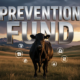 A viral, hyper-realistic YouTube thumbnail with a dramatic rural Colorado atmosphere. The background is a vast Western ranch at golden hour with rolling hills and distant Rocky Mountains under a stormy sky beginning to clear. The composition uses a low dramatic angle to focus on the main subject: a powerful, healthy black Angus cow standing strong in the foreground with subtle medical testing icons floating like protective shields around it. The image features massive 3D typography with strict hierarchy: The Primary Text reads exactly: 'PREVENTION FUND'. This text is massive, the largest element in the frame, rendered in polished chrome steel with Colorado state outline embossed to look like a high-budget 3D render. The Secondary Text reads exactly: 'SAVES HERDS'. This text is significantly smaller, positioned below the main text with a thick red warning-style outline and slight glow effect to contrast against the sky. The text materials correspond to the story's concept. Crucial Instruction: There is absolutely NO other text, numbers, watermarks, or subtitles in this image other than these two specific lines. 8k, Unreal Engine 5, cinematic render