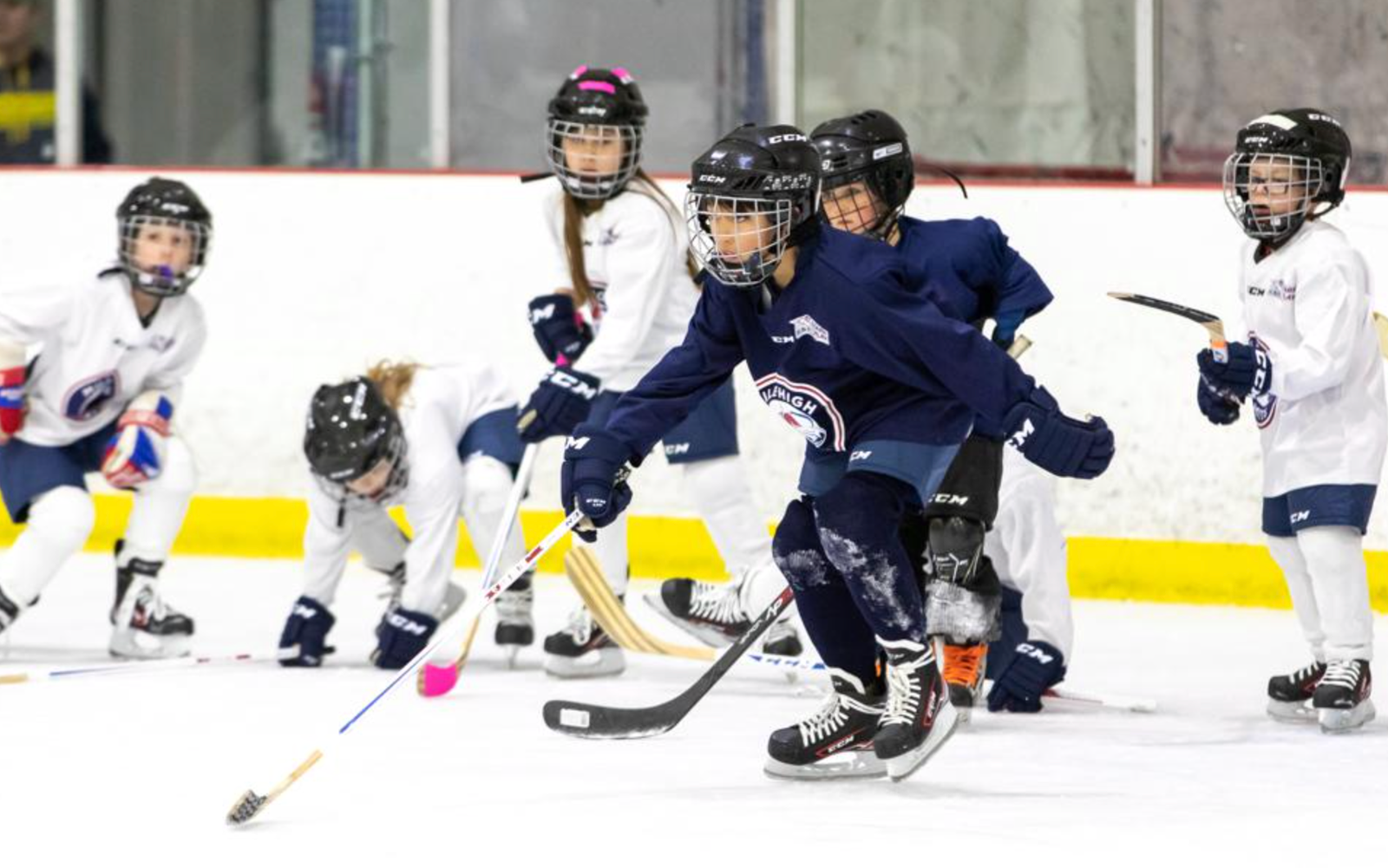 girls try hockey free grand junction colorado