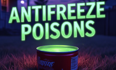 A viral, hyper-realistic YouTube thumbnail with a dark, tense crime-drama atmosphere. The background is a shadowy Colorado backyard at dusk with faint porch lights and a chain-link fence, subtle purple-blue lighting creating dread. The composition uses a low, slightly Dutch angle to focus on the main subject: a shallow red tuna can filled with glowing neon-green liquid sitting innocently on dry grass. The image features massive 3D typography with strict hierarchy: The Primary Text reads exactly: 'ANTIFREEZE POISON'. This text is massive, the largest element in the frame, rendered in toxic glowing green chrome with dripping liquid effect to look like a high-budget 3D render. The Secondary Text reads exactly: 'KILLS CAT IN HOURS'. This text is significantly smaller, positioned below the main text with thick red warning-style outline and subtle blood-drip border. The text materials correspond to the story's concept. Crucial Instruction: There is absolutely NO other text, numbers, watermarks, or subtitles in this image other than these two specific lines. 8k, Unreal Engine 5, cinematic render