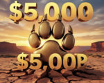 A viral, hyper-realistic YouTube thumbnail with a proud Western Colorado atmosphere. The background is a golden sunset over the Colorado National Monument with Fruita’s Book Cliffs glowing warm orange. The composition uses a dramatic low angle to focus on the main subject: a massive, gleaming bronze Wildcat paw print breaking through cracked desert ground like it's rising up. Image size should be 3:2. The image features massive 3D typography with strict hierarchy: The Primary Text reads exactly: '$5,000 SCHOLARSHIPS'. This text is massive, the largest element in the frame, rendered in polished gold chrome with realistic light reflections to look like a high-budget 3D render. The Secondary Text reads exactly: 'FRUITA SENIORS APPLY NOW'. This text is significantly smaller, positioned below the main text. It features a thick, electric blue glowing border/outline (sticker style) to contrast against the background. Make sure text 2 is always different theme, style, effect and border compared to text 1.