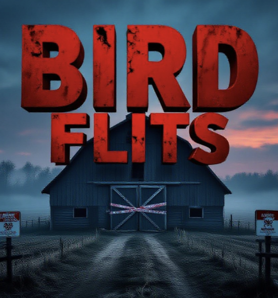 A viral, hyper-realistic YouTube thumbnail with a dark, ominous rural farm atmosphere. The background is a misty Indiana turkey farm at dawn with barren fields and quarantine signs, deep reds and cold blues lighting. The composition uses a dramatic low angle to focus on the main subject: a large, abandoned turkey barn with biohazard tape across the doors. Image size should be 3:2. The image features massive 3D typography with strict hierarchy: The Primary Text reads exactly: 'BIRD FLU HITS'. This text is massive, the largest element in the frame, rendered in blood-red chrome metal with dripping wet effects to look like a high-budget 3D render. The Secondary Text reads exactly: 'JAY COUNTY'. This text is significantly smaller, positioned below the main text. It features a thick, glowing yellow hazard-style border/outline to contrast against the background. Make sure text 2 is always different theme, style, effect and border compared to te