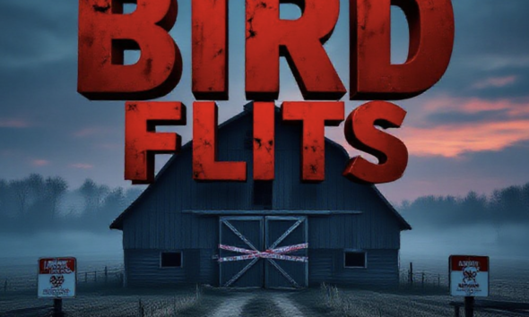 A viral, hyper-realistic YouTube thumbnail with a dark, ominous rural farm atmosphere. The background is a misty Indiana turkey farm at dawn with barren fields and quarantine signs, deep reds and cold blues lighting. The composition uses a dramatic low angle to focus on the main subject: a large, abandoned turkey barn with biohazard tape across the doors. Image size should be 3:2. The image features massive 3D typography with strict hierarchy: The Primary Text reads exactly: 'BIRD FLU HITS'. This text is massive, the largest element in the frame, rendered in blood-red chrome metal with dripping wet effects to look like a high-budget 3D render. The Secondary Text reads exactly: 'JAY COUNTY'. This text is significantly smaller, positioned below the main text. It features a thick, glowing yellow hazard-style border/outline to contrast against the background. Make sure text 2 is always different theme, style, effect and border compared to te