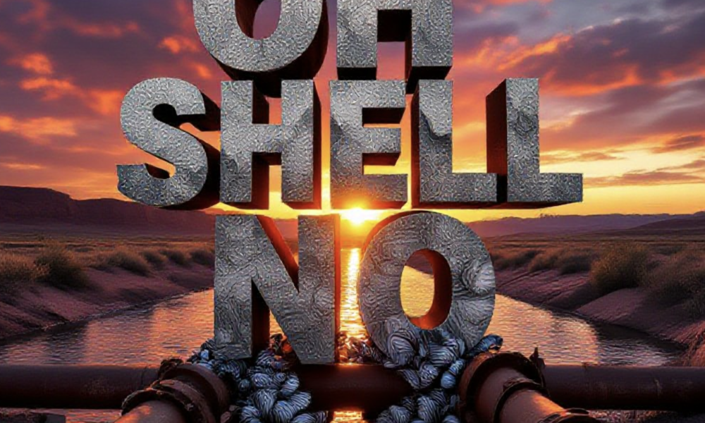 A viral, hyper-realistic YouTube thumbnail with a dramatic environmental crisis atmosphere. The background is the Colorado River at sunset near Grand Junction with irrigation canals branching off, ominous orange-red dramatic lighting. The composition uses a low-angle shot looking up for intensity to focus on the main subject: clusters of sharp zebra mussels completely covering a rusted water pipe and irrigation headgate. Image size should be 3:2. The image features massive 3D typography with strict hierarchy: The Primary Text reads exactly: 'OH SHELL NO'. This text is massive, the largest element in the frame, rendered in dripping wet chrome with sharp zebra stripe patterns to look like a high-budget 3D render. The Secondary Text reads exactly: 'ZEBRA MUSSELS INVADE COLORADO'. This text is significantly smaller, positioned below the main text. It features a thick, glowing orange border/outline (warning sticker style) to contrast against the background. Make sure text 2 is always different theme, style, effect and border compared to text 1