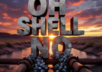 A viral, hyper-realistic YouTube thumbnail with a dramatic environmental crisis atmosphere. The background is the Colorado River at sunset near Grand Junction with irrigation canals branching off, ominous orange-red dramatic lighting. The composition uses a low-angle shot looking up for intensity to focus on the main subject: clusters of sharp zebra mussels completely covering a rusted water pipe and irrigation headgate. Image size should be 3:2. The image features massive 3D typography with strict hierarchy: The Primary Text reads exactly: 'OH SHELL NO'. This text is massive, the largest element in the frame, rendered in dripping wet chrome with sharp zebra stripe patterns to look like a high-budget 3D render. The Secondary Text reads exactly: 'ZEBRA MUSSELS INVADE COLORADO'. This text is significantly smaller, positioned below the main text. It features a thick, glowing orange border/outline (warning sticker style) to contrast against the background. Make sure text 2 is always different theme, style, effect and border compared to text 1