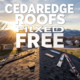 A viral, hyper-realistic YouTube thumbnail with a warm, golden-hour rural Colorado atmosphere. The background is a classic small-town Cedaredge home with fresh shingles being installed on a sunny March day, Rocky Mountains in the distance with soft lens flare. The composition uses a low-angle heroic shot to focus on the main subject: a weathered but perfectly repaired rooftop with ladders leaning against it. Image size should be 3:2. The image features massive 3D typography with strict hierarchy: The Primary Text reads exactly: 'CEDAREDGE ROOFS FIXED FREE'. This text is massive, the largest element in the frame, rendered in polished chrome with subtle American flag reflections to look like a high-budget 3D render. The Secondary Text reads exactly: '32 Volunteers, 1 Day'. This text is significantly smaller, positioned below the main text. It features a thick red-white-blue outline border (sticker style) to contrast against the sky. Make sure text 2 is always different theme, style, effect and border compared to text 1.
