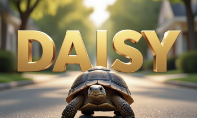 A viral, hyper-realistic YouTube thumbnail with a Heartwarming Small Town atmosphere. The background is a sunny suburban neighborhood street with soft bokeh greenery and sunlight filtering through trees. The composition uses a Low Angle to focus on the main subject: a detailed, realistic Tortoise walking determinedly on the pavement, facing away from the camera toward the horizon. Image size should be 3:2. The image features massive 3D typography with strict hierarchy: The Primary Text reads exactly: 'DAISY'. This text is massive, the largest element in the frame, rendered in Gold to look like a high-budget 3D render. The Secondary Text reads exactly: 'SAFE AT HOME'. This text is significantly smaller, positioned below or next to the main text. It features a thick, distinct white border/outline (sticker style) to contrast against the background. Make sure text 2 is always different theme, style, effect and border compared to text 1.
