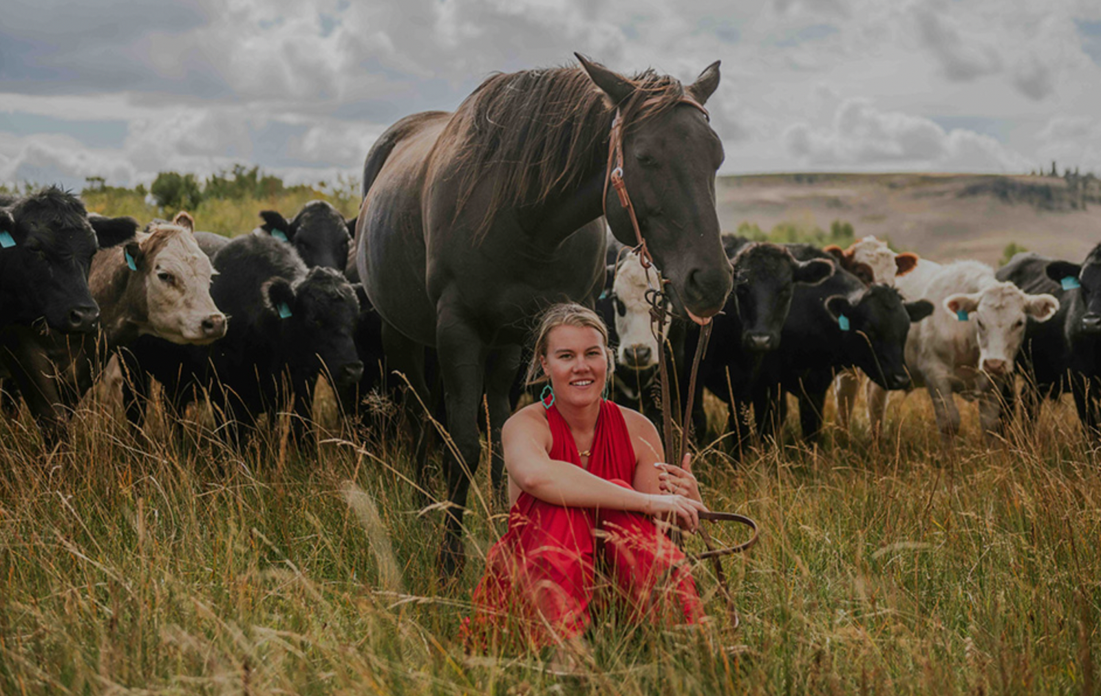 colorado agricultural future loan program expansion bill