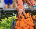 colorado food program 15 million meals served