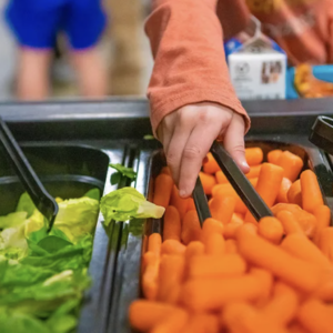 Colorado Food Program Delivers Over 15 Million Meals Statewide in One Year