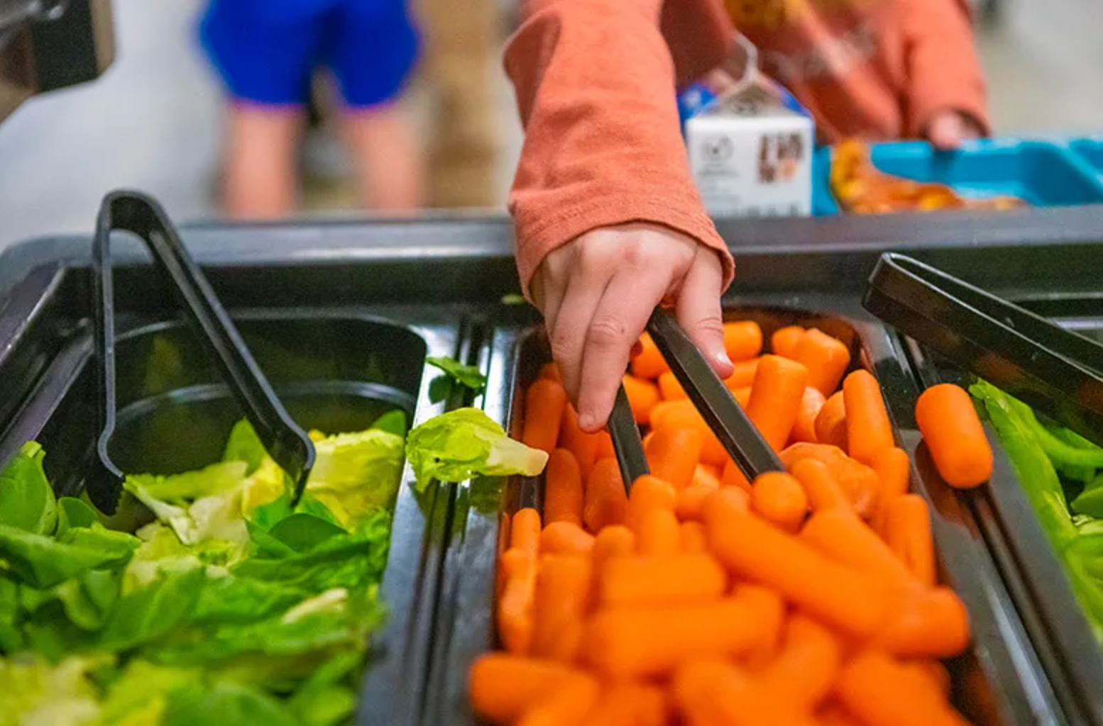 colorado food program 15 million meals served