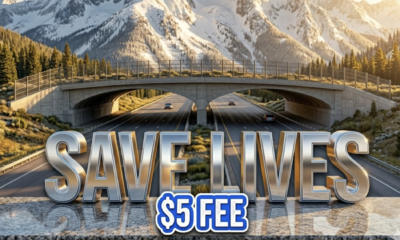A viral, hyper-realistic YouTube thumbnail with a Kinetic atmosphere. The background is a Colorado mountain highway at golden hour with dramatic lighting. The composition uses a Low Angle to focus on the main subject: a massive concrete Wildlife Overpass bridge. Image size should be 3:2. The image features massive 3D typography with strict hierarchy: The Primary Text reads exactly: 'SAVE LIVES'. This text is massive, the largest element in the frame, rendered in Chrome to look like a high-budget 3D render. The Secondary Text reads exactly: '$5 FEE'. This text is significantly smaller, positioned below or next to the main text. It features a thick, distinct color border/outline (sticker style) to contrast against the background. Make sure text 2 is always different theme, style, effect and border compared to text 1.