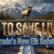 A viral, hyper-realistic YouTube thumbnail with a dramatic Rocky Mountain atmosphere. The background is a snow-capped Colorado highway at golden hour with dense pine forests and jagged peaks, moody storm clouds building in the distance. The composition uses a dramatic low-angle shot to focus on the main subject: a massive, planted wildlife overpass bridge spanning high above the highway with a huge bull elk standing proudly on top looking down at the road below. Image size should be 3:2. The image features massive 3D typography with strict hierarchy: The Primary Text reads exactly: '$5 TO SAVE LIVES'. This text is massive, the largest element in the frame, rendered in brushed bronze gold metal with realistic light reflections like a high-budget 3D render. The Secondary Text reads exactly: 'Colorado's New Elk Safety Bill'. This text is significantly smaller, positioned below the main text with a thick electric blue glowing outline border to contrast against the mountain background. Make sure text 2 is always different theme, style, effect and border compared to text 1. The text materials correspond to the story's concept. Crucial Instruction: There is absolutely NO other text, numbers, watermarks, or subtitles in this image other than these two specific lines. 8k, Unreal Engine 5, cinematic render.