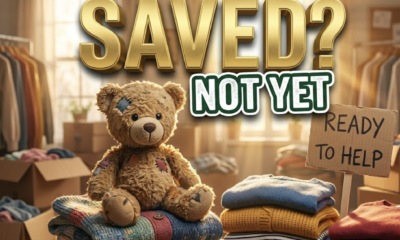 A viral, hyper-realistic YouTube thumbnail with a Heartwarming Community atmosphere. The background is a Softly lit, cluttered but organized donation center room filled with clothes and boxes matching the story with Warm, golden hour sunbeams through a window. The composition uses a Macro shot for detail to focus on the main subject: a Worn, beloved Teddy Bear sitting on a stack of folded clothes. Image size should be 3:2. The image features massive 3D typography with strict hierarchy: The Primary Text reads exactly: 'SAVED?'. This text is massive, the largest element in the frame, rendered in Gold Metal to look like a high-budget 3D render. The Secondary Text reads exactly: 'NOT YET'. This text is significantly smaller, positioned below or next to the main text. It features a thick, distinct color border/outline (sticker style) to contrast against the background. Make sure text 2 is always different theme, style, effect and border compared to text 1.