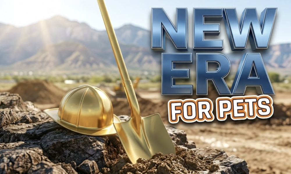 A viral, hyper-realistic YouTube thumbnail with a Hopeful News atmosphere. The background is a bright, sunny construction site in Grand Junction, Colorado with the distinct Book Cliffs mountains in the distance. The composition uses a Low Angle to focus on the main subject: a detailed Faceless Golden Shovel stuck into a pile of dirt. Image size should be 3:2. The image features massive 3D typography with strict hierarchy: The Primary Text reads exactly: 'NEW ERA'. This text is massive, the largest element in the frame, rendered in Polished Blue Metal to look like a high-budget 3D render. The Secondary Text reads exactly: 'FOR PETS'. This text is significantly smaller, positioned below the main text. It features a thick, distinct orange border/outline (sticker style) to contrast against the background. Make sure text 2 is always different theme, style, effect and border compared to text 1. The text materials correspond to the story's concept. Crucial Instruction: There is absolutely NO other text, numbers, watermarks, or subtitles in this image other than these two specific lines. 8k, Unreal Engine 5, cinematic render.