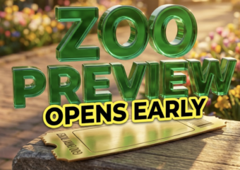 A viral, hyper-realistic YouTube thumbnail with a bright and sunny Lifestyle atmosphere. The background is a vibrant zoo pathway blooming with spring flowers with warm golden hour lighting. The composition uses a Macro angle to focus on the main subject: a Detailed Faceless Golden Zoo Entry Ticket. Image size should be 3:2. The image features massive 3D typography with strict hierarchy: The Primary Text reads exactly: 'ZOO PREVIEW'. This text is massive, the largest element in the frame, rendered in Shiny Emerald Glass to look like a high-budget 3D render. The Secondary Text reads exactly: 'OPENS EARLY'. This text is significantly smaller, positioned below or next to the main text. It features a thick, distinct bright yellow color border/outline (sticker style) to contrast against the background. Make sure text 2 is always different theme, style, effect and border compared to text 1. The text materials correspond to the story's concept. Crucial Instruction: There is absolutely NO other text, numbers, watermarks, or subtitles in this image other than these two specific lines. 8k, Unreal Engine 5, cinematic render.
