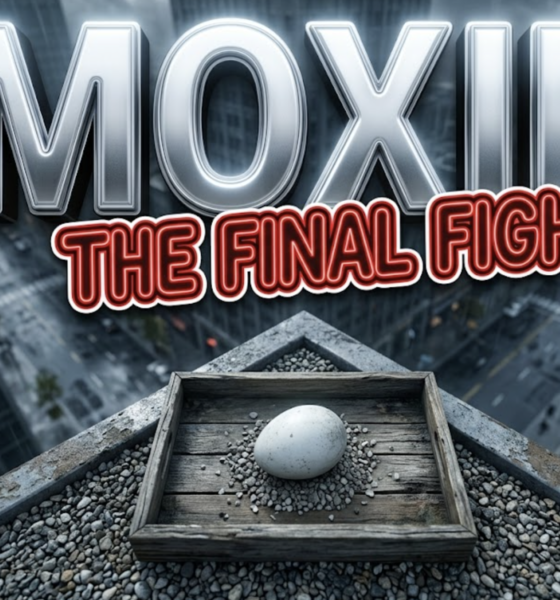 A viral, hyper realistic YouTube thumbnail with a high-stakes dramatic wildlife atmosphere. The background is a dizzying view from a modern city skyscraper ledge overlooking downtown streets with stormy, overcast lighting. The composition uses a severe high-angle shot to focus on the main subject: a highly detailed, abandoned single white bird egg resting on a bed of gravel inside a weathered wooden tray. Image size should be 3:2. The image features massive 3D typography with strict hierarchy: The Primary Text reads exactly: 'MOXIE'. This text is massive, the largest element in the frame, rendered in glowing silver chrome to look like a high-budget 3D render. The Secondary Text reads exactly: 'THE FINAL FIGHT'. This text is significantly smaller, positioned below or next to the main text. It features a thick, distinct neon red outline (sticker style) to contrast against the background. Make sure text 2 is always different theme, style, effect and border compared to text 1. The text materials correspond to the story's concept. Crucial Instruction: There is absolutely NO other text, numbers, watermarks, or subtitles in this image other than these two specific lines. 8k, Unreal Engine 5, cinematic render.