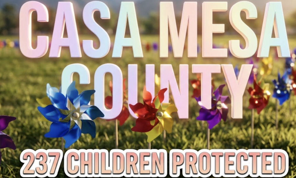 A viral, hyper-realistic YouTube thumbnail with a compassionate community activism atmosphere. The background is a sunny outdoor park setting in Colorado with mountains visible in the distance, natural daylight creating warm golden tones across green grass. The composition uses a low angle shot to focus on the main subject: a field of colorful spinning pinwheels planted in the ground, with blue, red, yellow, and purple pinwheels in sharp focus, their metallic centers catching sunlight while blurred rows extend into the background. Image size should be 3:2. The image features massive 3D typography with strict hierarchy: The Primary Text reads exactly: 'CASA MESA COUNTY'. This text is massive, the largest element in the frame, rendered in soft gradient pastel colors with gentle glow effect to look like a high-budget 3D render with compassionate warmth. The Secondary Text reads exactly: '237 CHILDREN PROTECTED'. This text is significantly smaller, positioned below the main text. It features a thick, distinct white border with inner shadow (sticker style) to contrast against the background. Make sure text 2 is always different theme, style, effect and border compared to text 1. The text materials correspond to the story's concept of hope and protection. Crucial Instruction: There is absolutely NO other text, numbers, watermarks, or subtitles in this image other than these two specific lines. 8k, Unreal Engine 5, cinematic render.