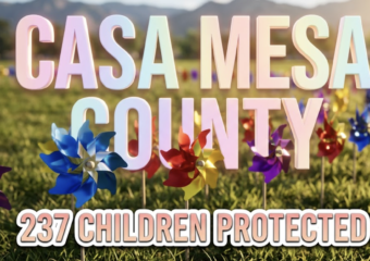 A viral, hyper-realistic YouTube thumbnail with a compassionate community activism atmosphere. The background is a sunny outdoor park setting in Colorado with mountains visible in the distance, natural daylight creating warm golden tones across green grass. The composition uses a low angle shot to focus on the main subject: a field of colorful spinning pinwheels planted in the ground, with blue, red, yellow, and purple pinwheels in sharp focus, their metallic centers catching sunlight while blurred rows extend into the background. Image size should be 3:2. The image features massive 3D typography with strict hierarchy: The Primary Text reads exactly: 'CASA MESA COUNTY'. This text is massive, the largest element in the frame, rendered in soft gradient pastel colors with gentle glow effect to look like a high-budget 3D render with compassionate warmth. The Secondary Text reads exactly: '237 CHILDREN PROTECTED'. This text is significantly smaller, positioned below the main text. It features a thick, distinct white border with inner shadow (sticker style) to contrast against the background. Make sure text 2 is always different theme, style, effect and border compared to text 1. The text materials correspond to the story's concept of hope and protection. Crucial Instruction: There is absolutely NO other text, numbers, watermarks, or subtitles in this image other than these two specific lines. 8k, Unreal Engine 5, cinematic render.